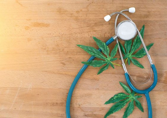Graphic of cannibis leaves with a stethoscope