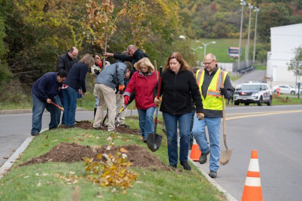 Volunteers plant trees along Skytop Road.