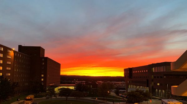 sunset over buildings