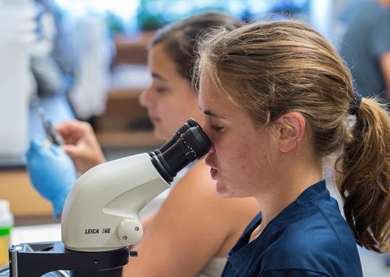 A biology student peers into a microscope.