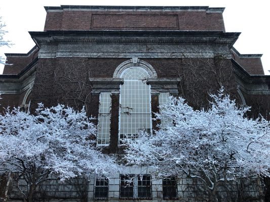 frosted trees in front of building