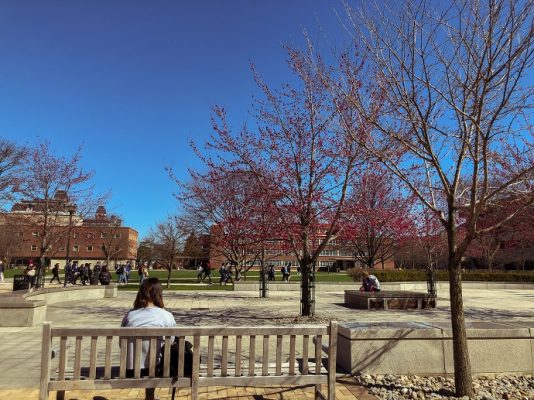 woman sitting on bench looking over Quad