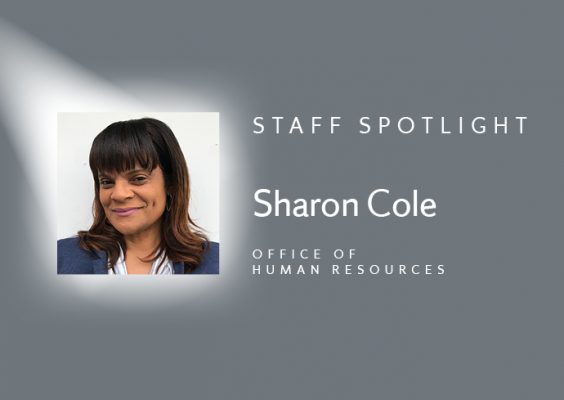 head shot of Sharon Cole with words Staff Spotlight Sharon Cole Office of Human Resources