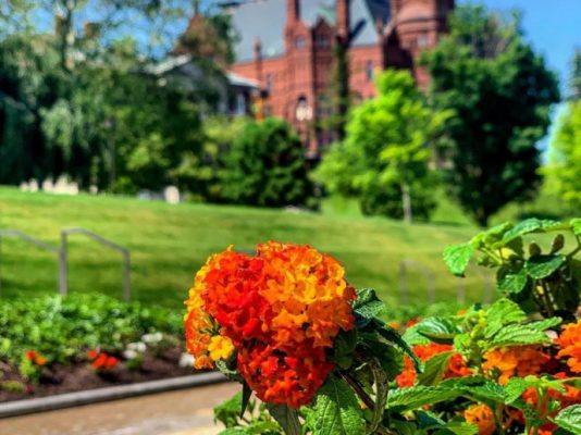 container of flowers in front of Einhorn Walk with Crouse College in background