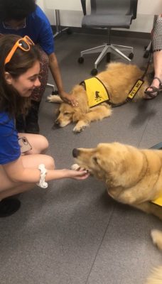 students petting dogs