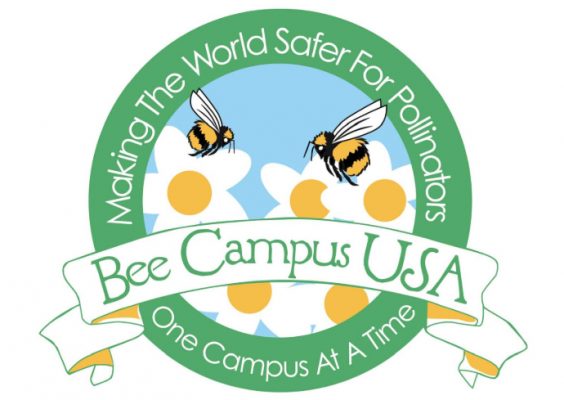 Bee Campus USA logo
