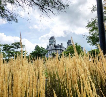 tall grass in front of Hall of Languages