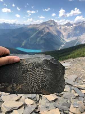 Person holding trilobite fossil in front of quarry and mountains