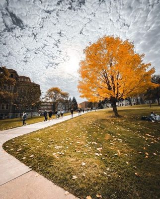 people walking on campus next to tree