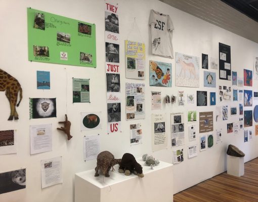gallery wall with images
