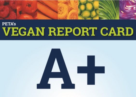PETA Vegan Report Card A+ graphic