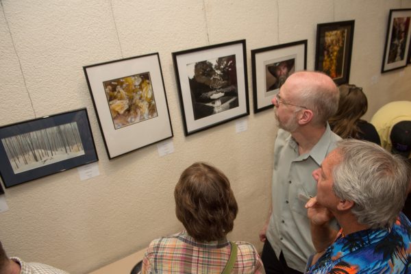 People looking at photos on a wall