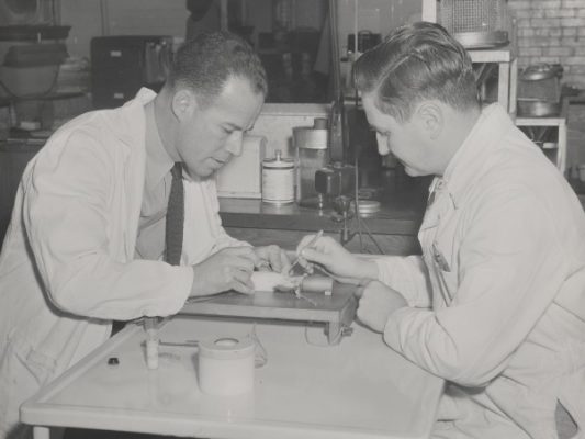 two people working at lab bench