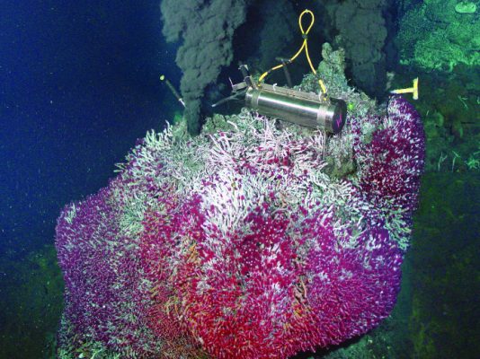 hydrothermal vent