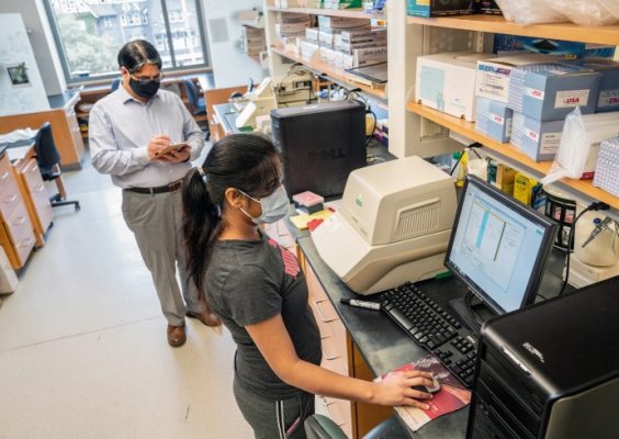 Dr. Ramesh Raina and graduate student Deepjyoti Singh working in laboratory