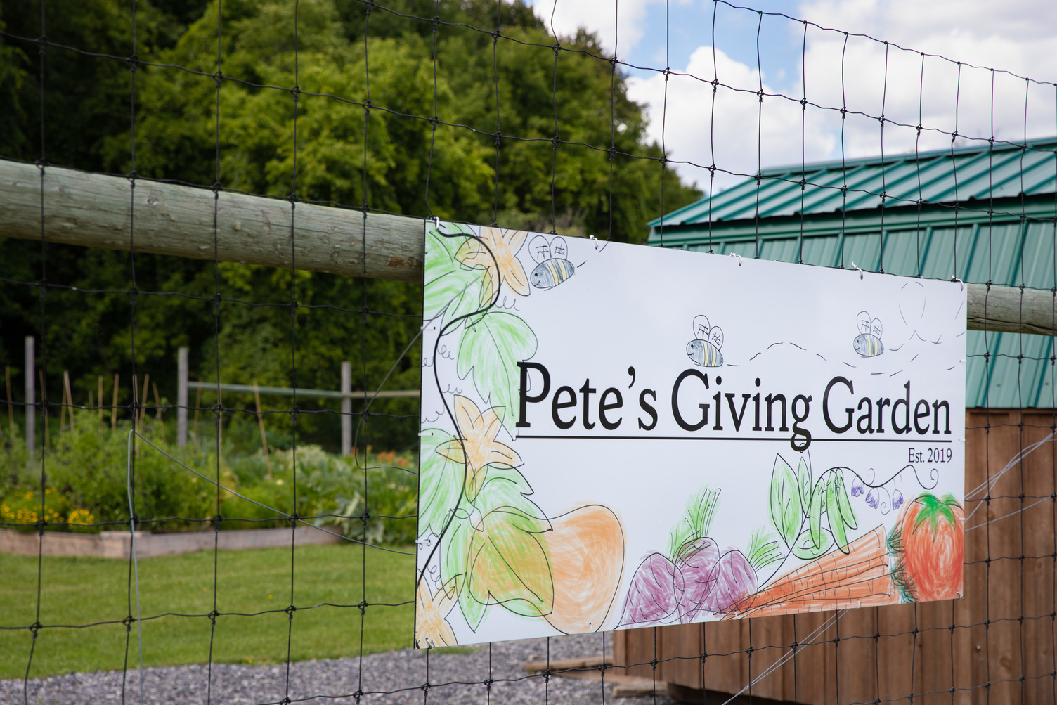 Hendricks Chapel Food Pantry, Pete's Giving Garden Help Combat Food  Insecurity in Campus Community – Syracuse University News