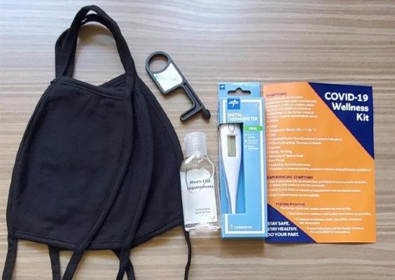 bag, wipe, thermometer, masks