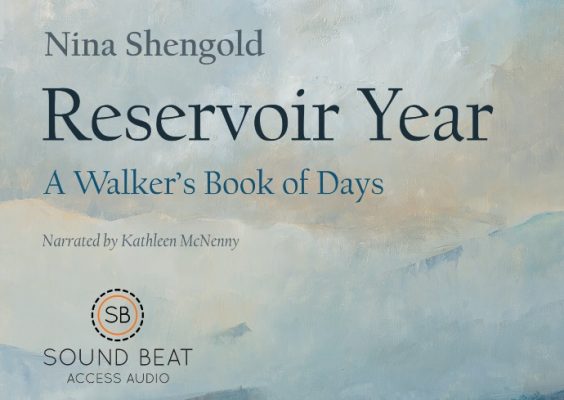 Cover of Reservoir Year audiobook