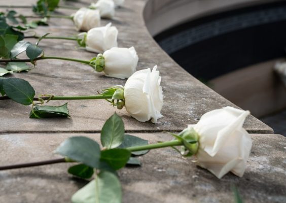 Roses on the Wall of Remembrance