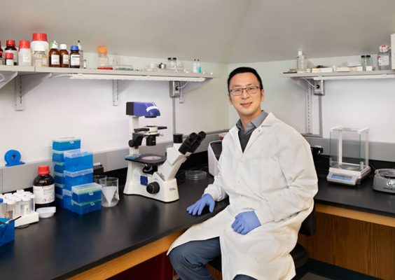Professor Zhen Ma at a lab table next to a microscope.