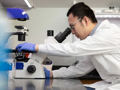 Professor Zhen Ma peers into a microscope