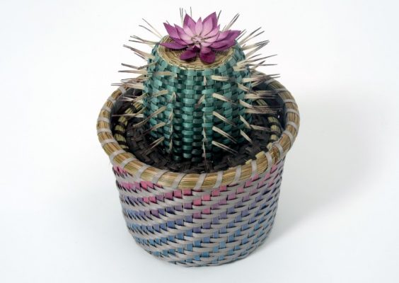 Ann MItchell, Cactus Basket, 2017