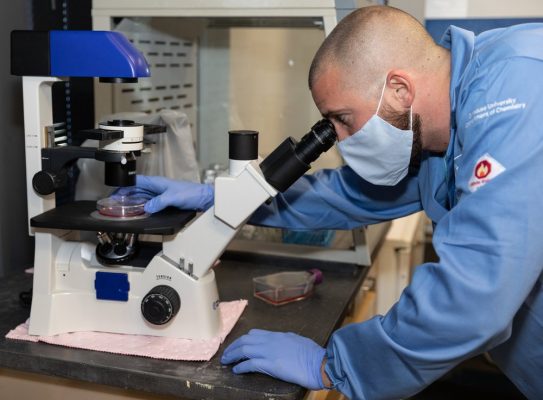 person looking through microscope