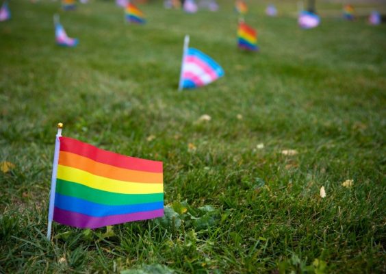 rainbow flags in ground