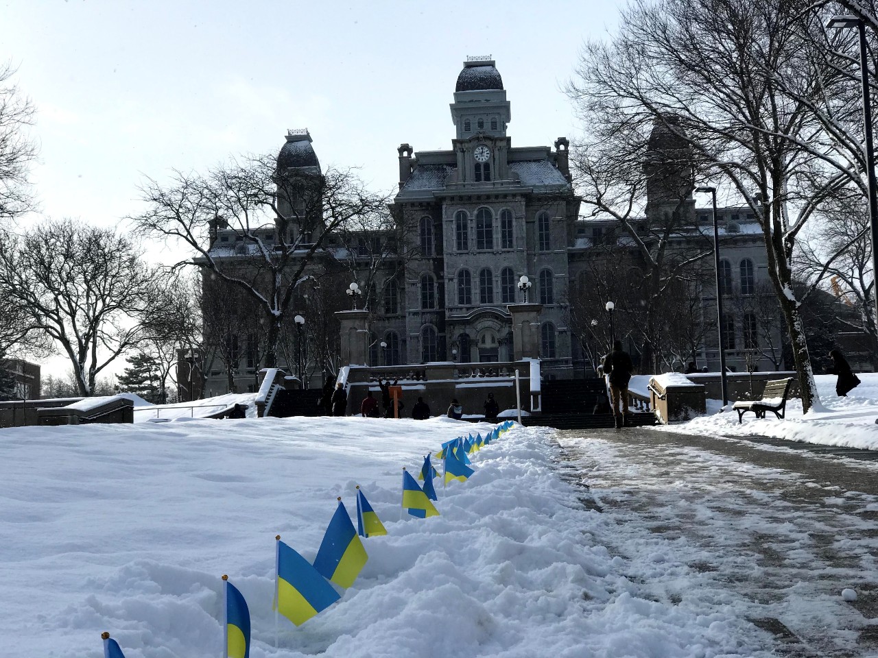 small Ukrainian flags displayed in the snow leading to the language hall in February 2020