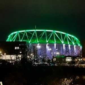 Stadium in green