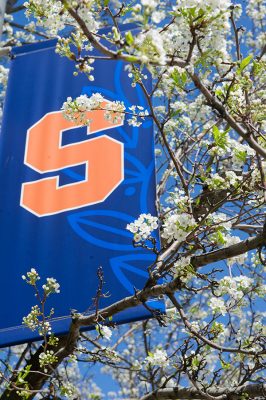 Springtime is in full bloom on Syracuse Universities campus