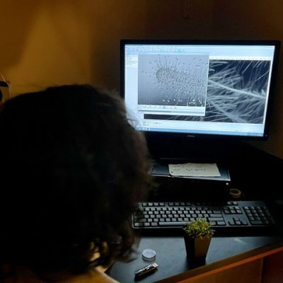 student viewing microscopy images in a dark room on a computer screen