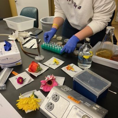 Student working with flowers in a lab