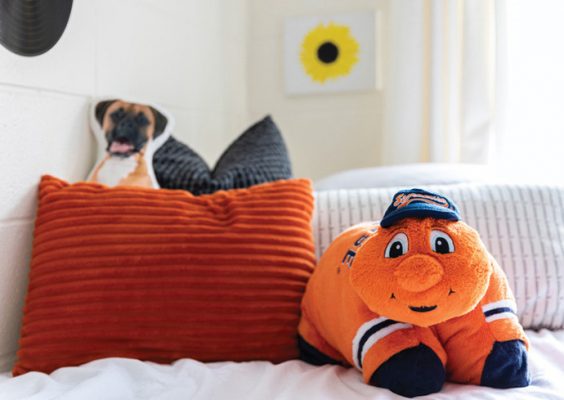 A stuffed Otto sits on a student's bed in Day Hall