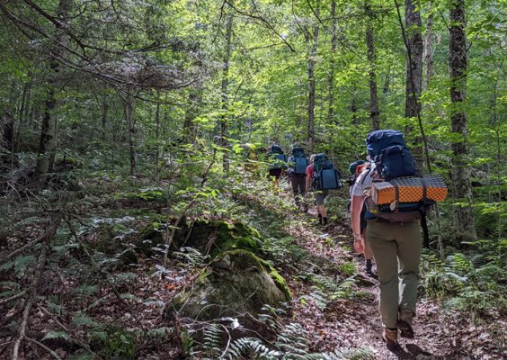 students hiking through the woods
