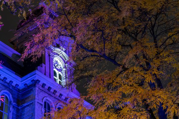 the Hall of Languages illuminated by purple light behind a tree with changing leaves