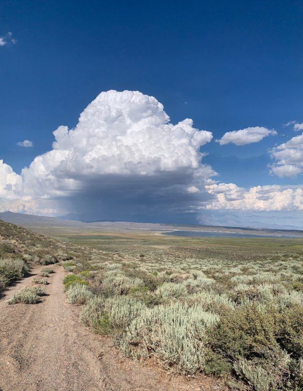 Using Monsoons of the Past to Predict Climate Conditions of the Future