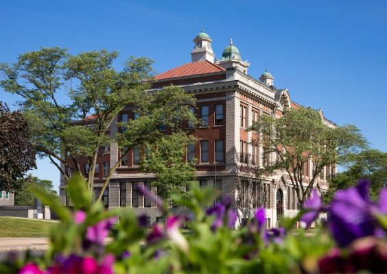 Purple flowers sit in the foreground of Lyman Hall surrounded by trees.