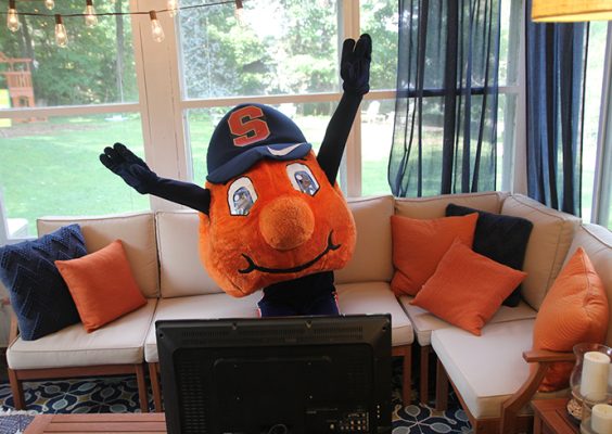 Otto the orange sitting on a couch
