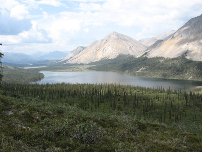 Lake in boreal forest in Alaska