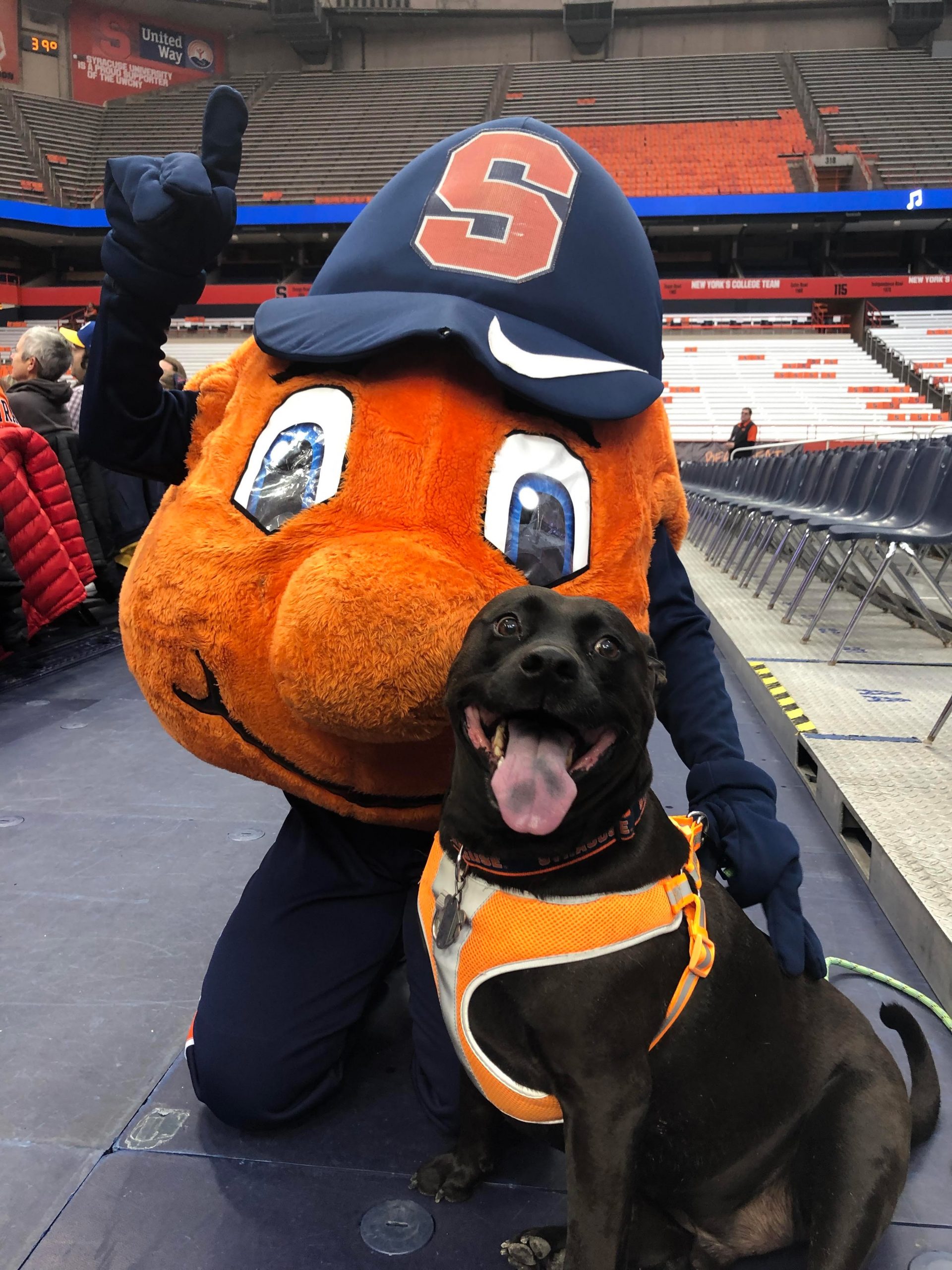 Otto with a dog in the Dome. 