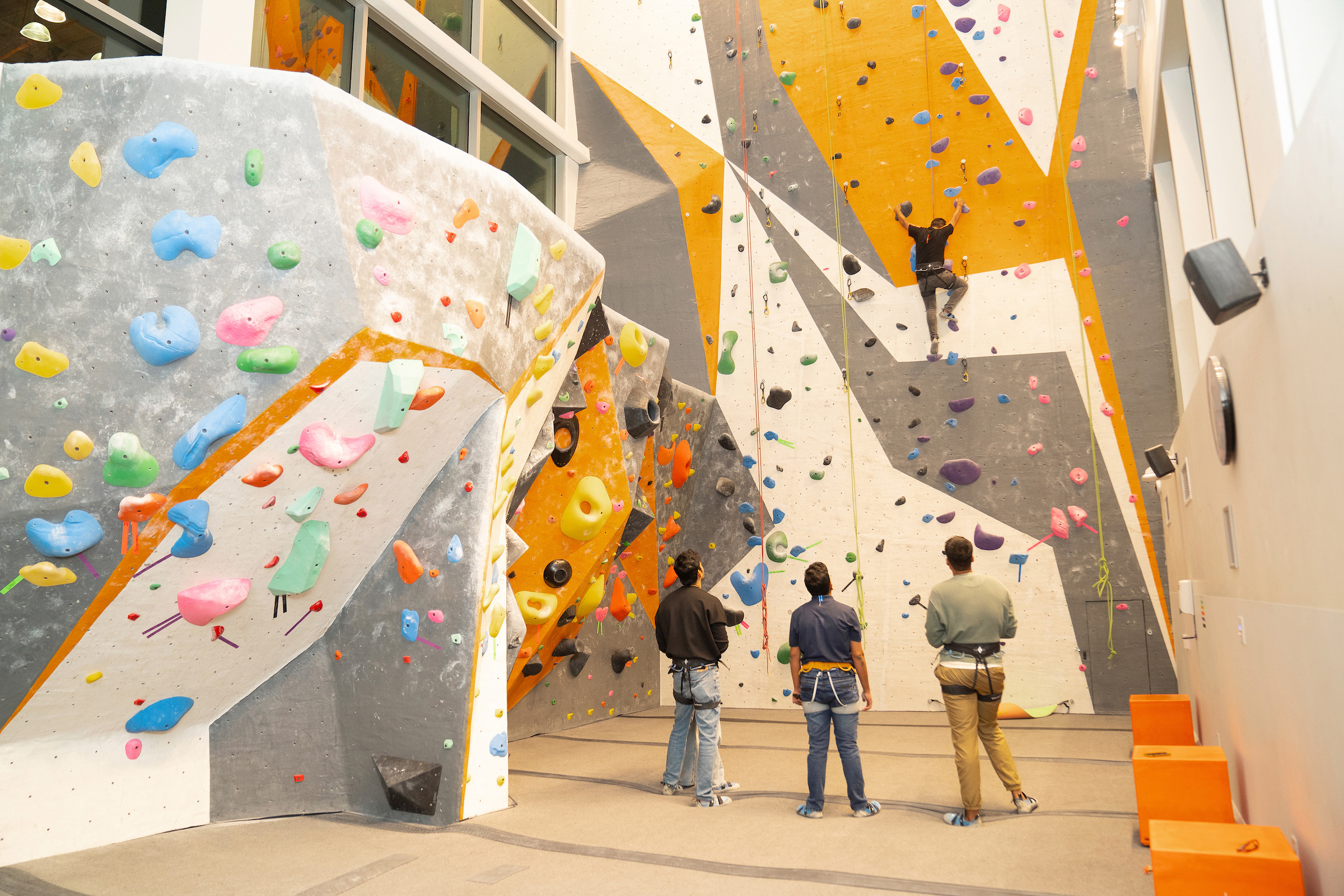 One individual climbing a rock wall, while three others stand by watching.