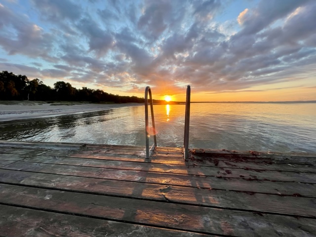 Summer Snapshots 2023