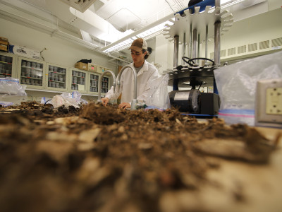 Student works on soil analysis in the lab