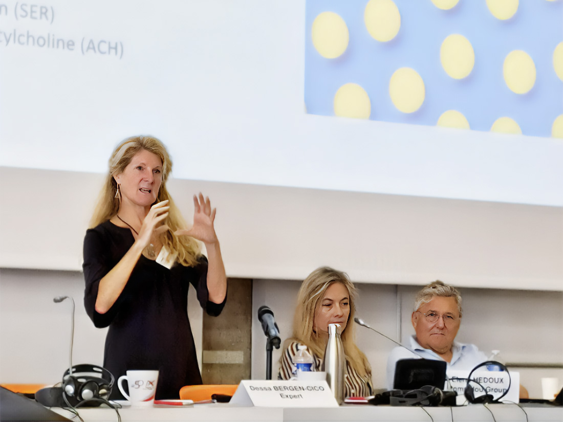 Public Health Professor Dessa Bergen-Cico speaking at International Drug Policy Academy in Strasbourg.
