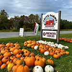 Critz Farm road sign with pumpkins on the lawn