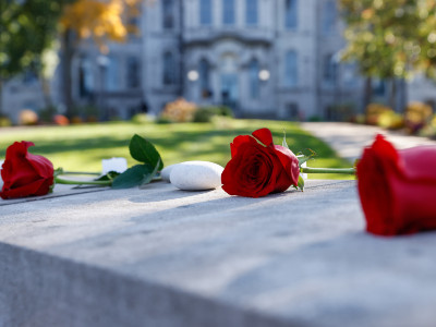 Roses and stones on the Wall of Remembrance