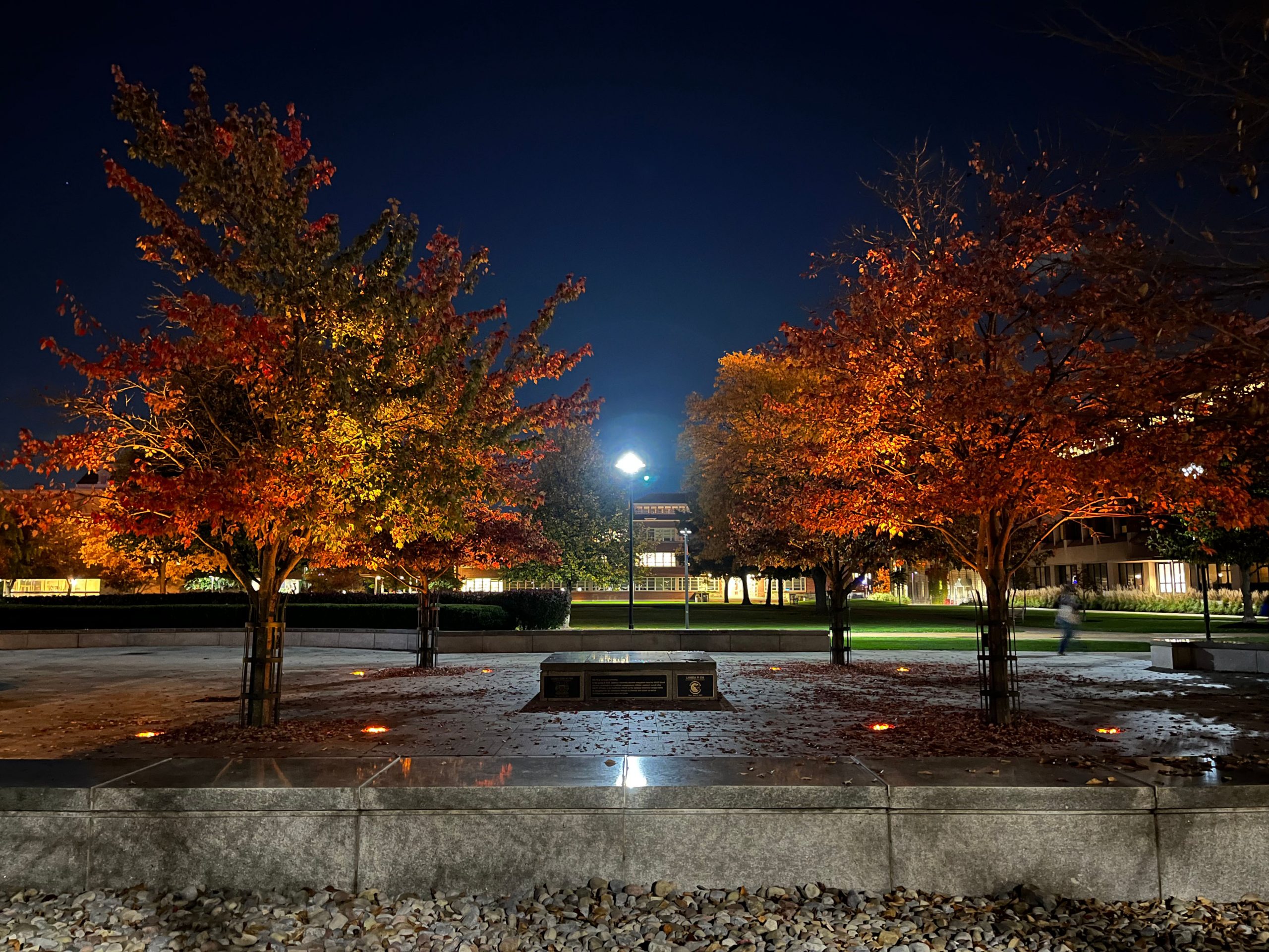 Colorful fall trees lit up with uplighting at night on the Quad