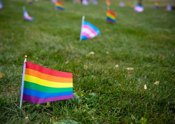 Finding Hope and Support Against Anti-Trans Legislation