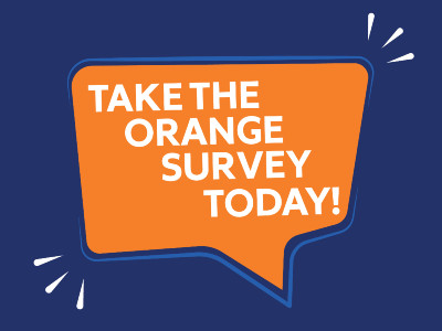 Orange Survey graphic